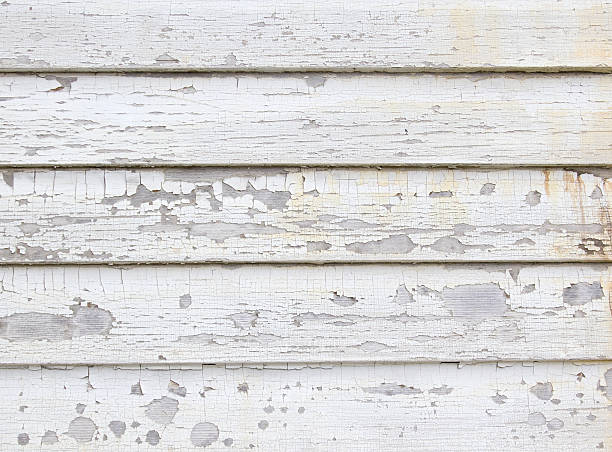 Best Historical Building Siding Restoration  in Pacific, WA