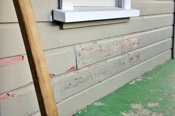 Best Engineered Wood Siding  in Pacific, WA